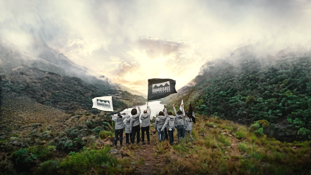 INTER RAPIDÍSIMO, LA PRIMERA EMPRESA QUE SEMBRARÁ 2,000 FRAILEJONES EN LOS PÁRAMOS DE COLOMBIA